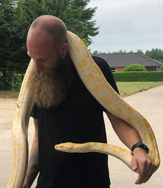 Presenting a burmese python from Niels Grøn private collection